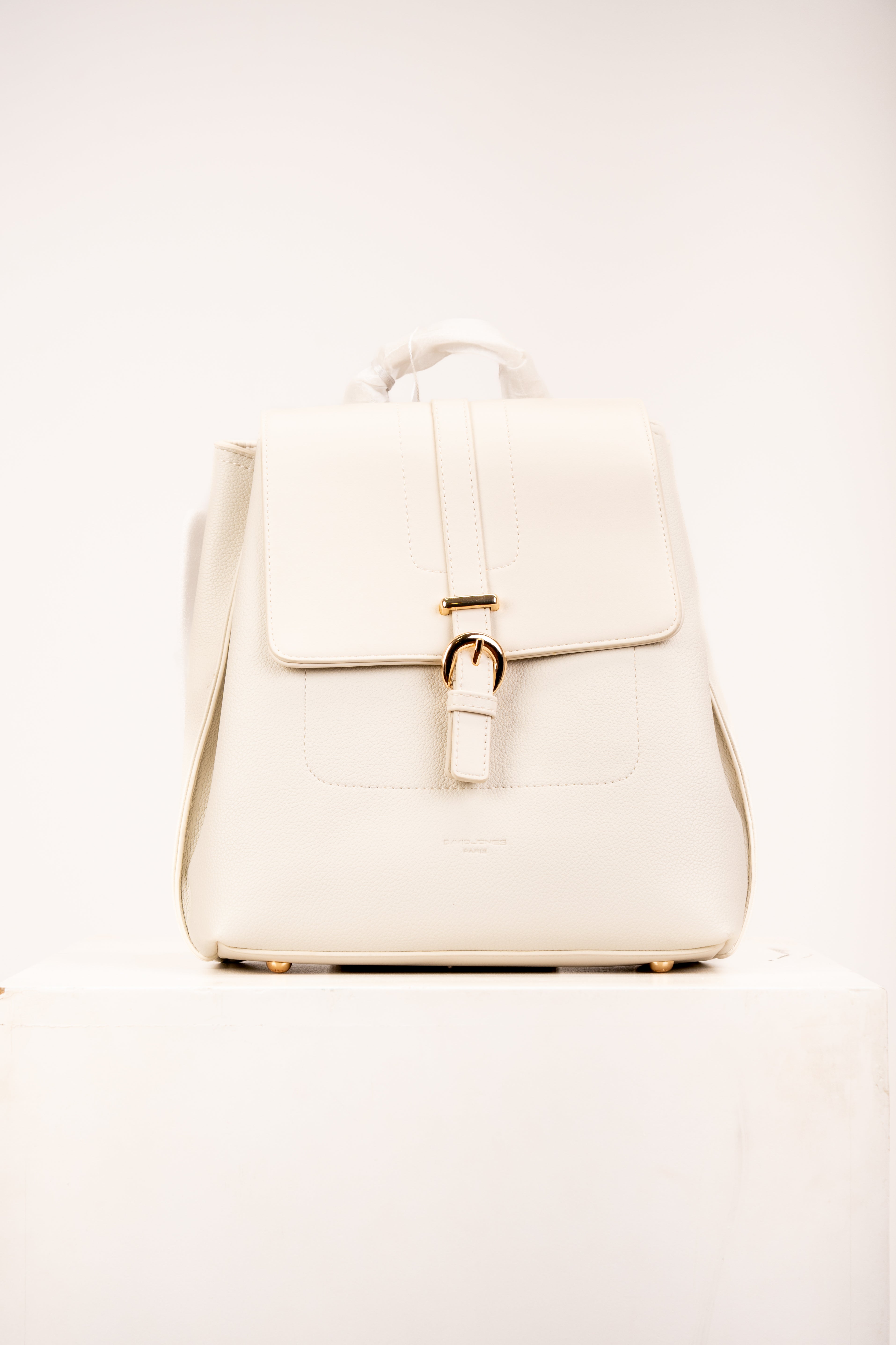 David Jones Bag back
