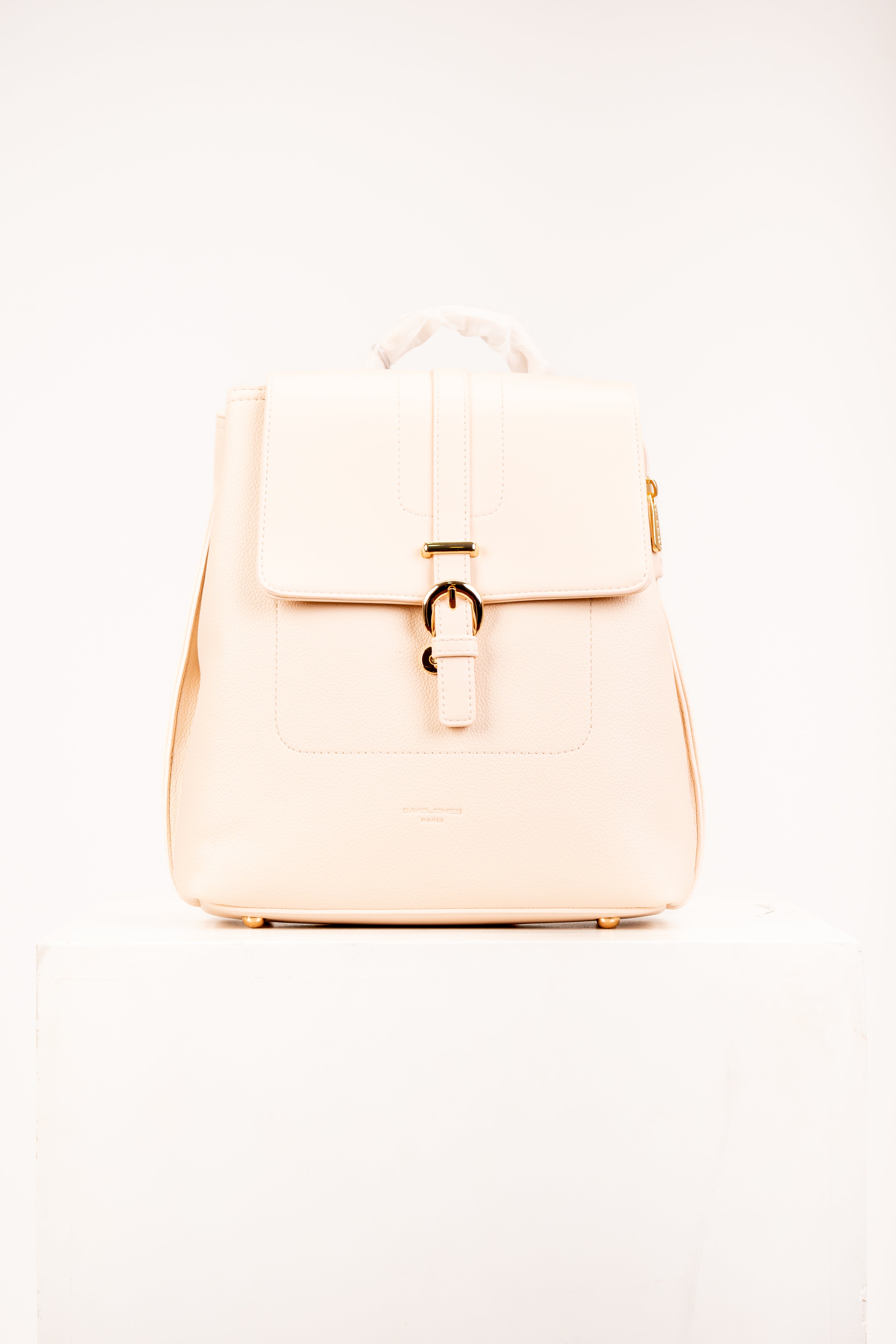 David Jones Bag back